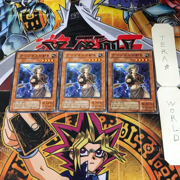 Amazoness Archer (Updated from: Amazon Archer) 2nd period ver 6 normal, set of 3 tera