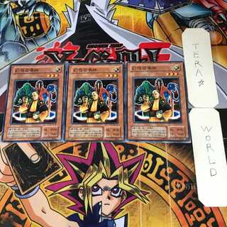 Summoner of Illusions 2nd period ver 10 normal, set of 3 Tera.