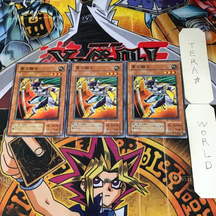 Hayabusa Knight 2nd season ver 4 Normal 3 piece set Tera