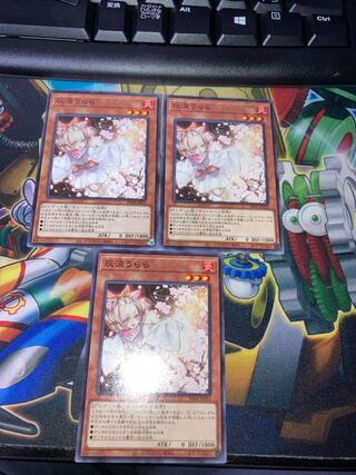 Ash Blossom & Joyous Spring Normal 3