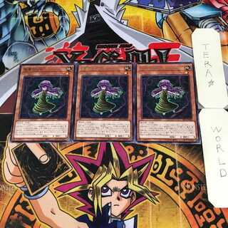 聖蔓の乙女 6 レア 3枚セット てら