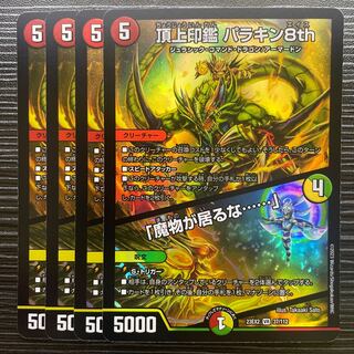 Summit Seal Parakin 8th｜"There's a demon in the house. ......" VR 37/112