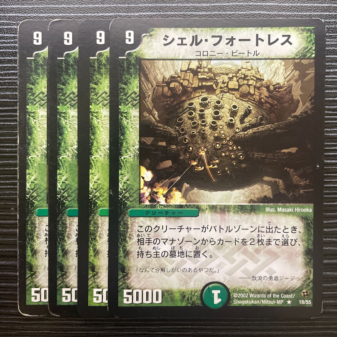 Fortress Shell R 18/55