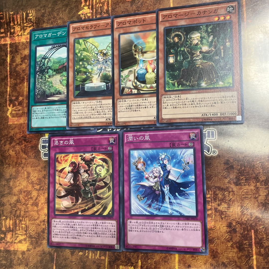 Yu-Gi-Oh *Dry Winds, Humid Winds*.