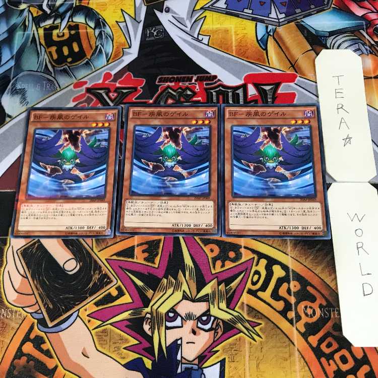 BF-Gail of Wind 9 Normal Parallel Set of 3 Tera.