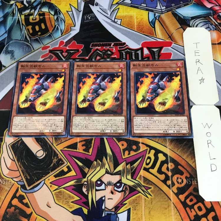 Salamangreat Mole 3 Normal Parallel Set of 3 Tera