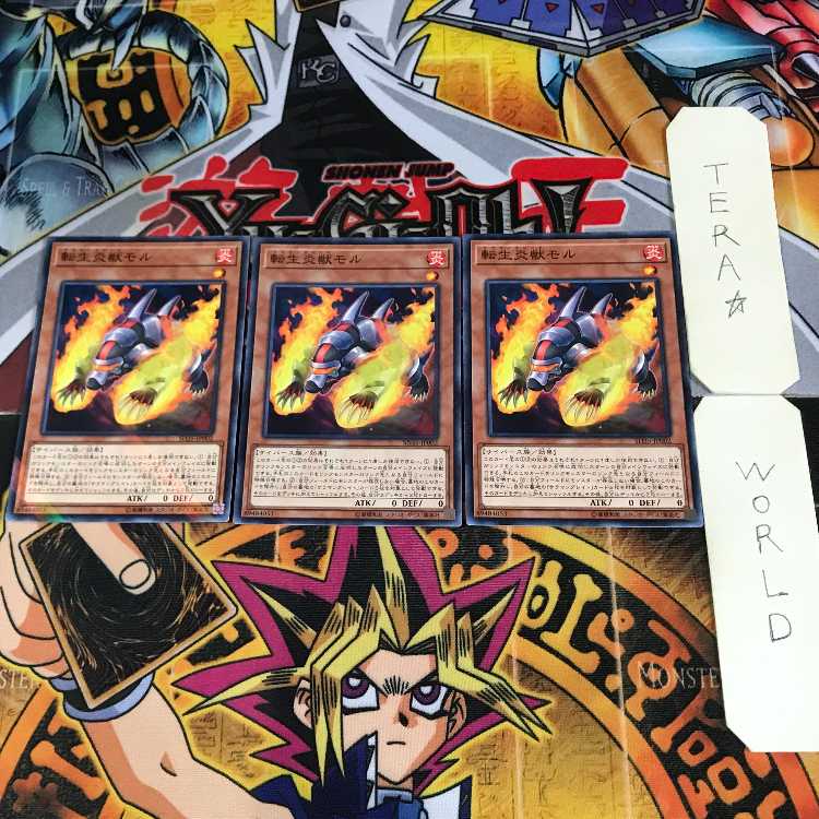 Salamangreat Mole 5 Normal Parallel Set of 3 Tera