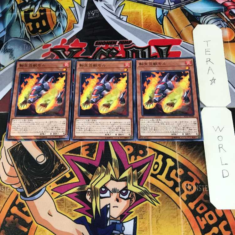 Salamangreat Mole 6 Normal Parallel Set of 3 Tera