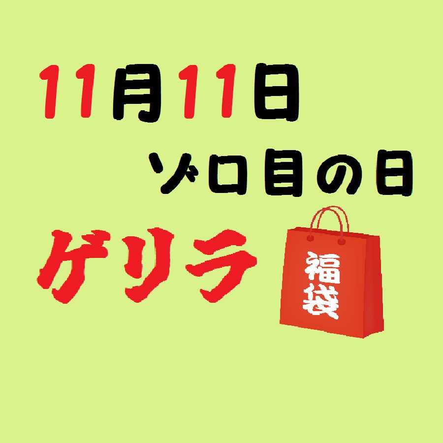 【終了!】ゾロ目の日ゲリラ福袋!