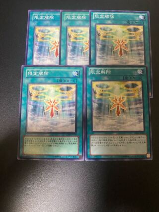 限定解除 ノーマル JP039