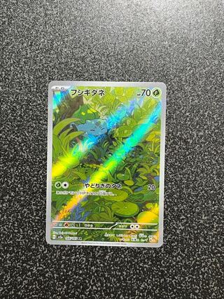 フシギダネ AR 166/165