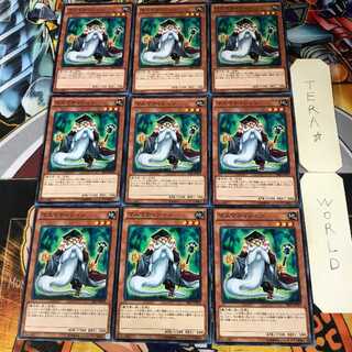 Mathematician 1 Normal 9-card set Tera