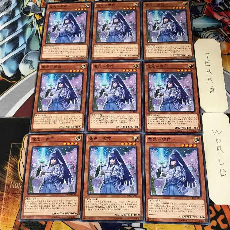 電光-雪花- 3 ノーマル 9枚セット てら