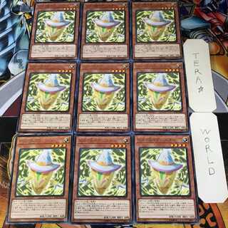 Pikari@Ignister 1 rare set of 9 tera.