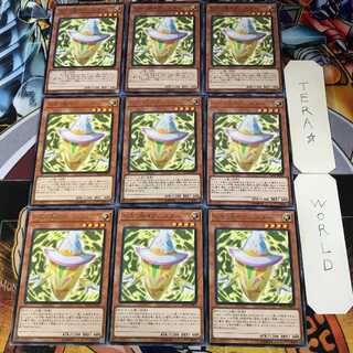 Pikari@Ignister 3 rare, set of 9, Tera.