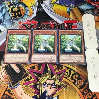 Aromatheraphy - Angelica INOV 2 Normal, set of 3 Tera