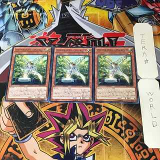 Aromatheraphy - Angelica INOV 4 Normal, set of 3 Tera.