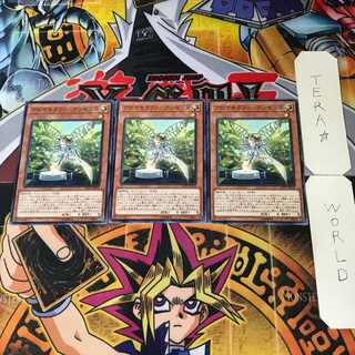 Aromatheraphy - Angelica LVP1 1 Normal, set of 3 Tera