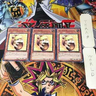 Rodenut PHSW 5 Normal, set of 3 Tera