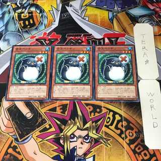 Nopenguin PRIO 3 Normal Set of 3 Tera