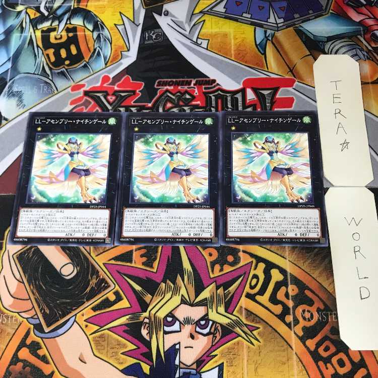 LL-Assembly Nightingale DP25 5 Normal, set of 3 Tera.