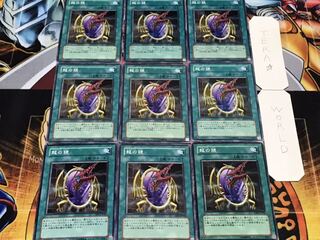 龍の鏡 ノーマル 9枚セット