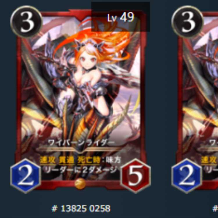 ワイバーンライダー　2枚　スピあり　Lv49　Lv49　ゴールド