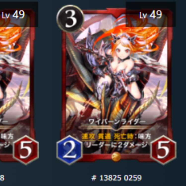 ワイバーンライダー　2枚　スピあり　Lv49　Lv49　ゴールド