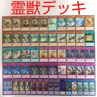 【遊戯王 デッキ】聖霊獣騎ペトルフィン ガイアペライオ 霊獣の騎襲 神の宣告