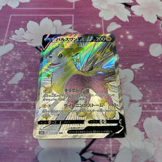 パルスワンV SSR 313/190