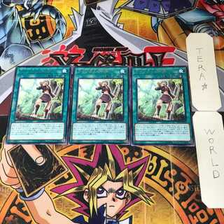 Amazoness Call DP18 3 Rare Set of 3 Tera.