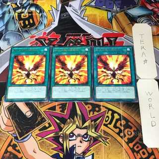 転生炎獣の超転生 CHIM 8 レア 3枚セット てら