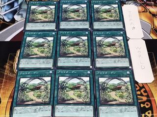 アロマガーデン ノーマル 9枚セット