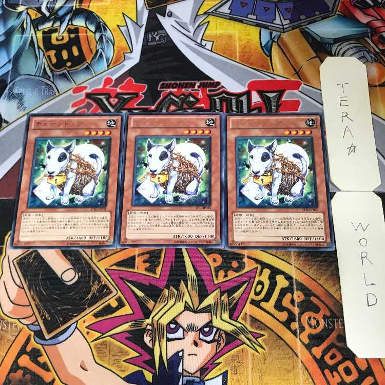 チェーンドッグ STBL 4 レア 3枚セット てら