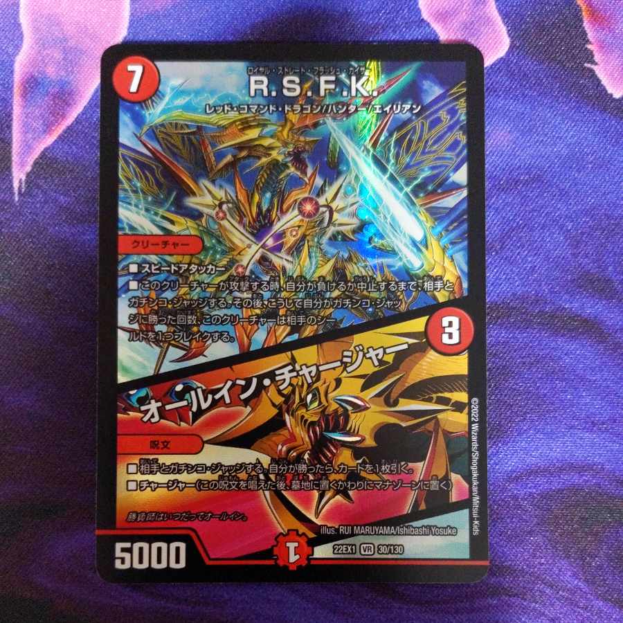 R.S.F.K.｜オールイン・チャージャー VR 30/130　１枚