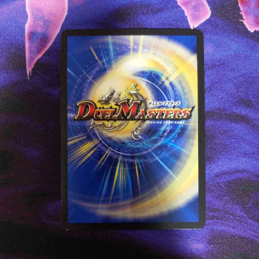 R.S.F.K.｜オールイン・チャージャー VR 30/130　１枚