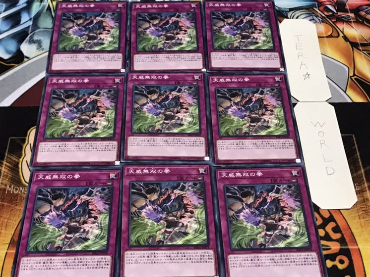 天威無双の拳 ノーマル 9枚セット