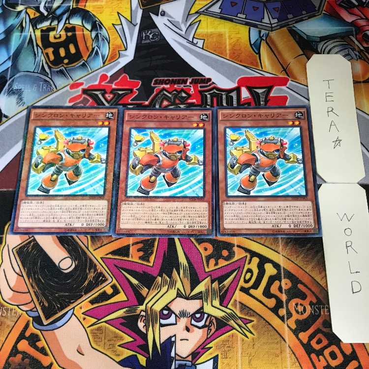 Synchron Carrier SD28 6 Normal Parallel Set of 3 Tera