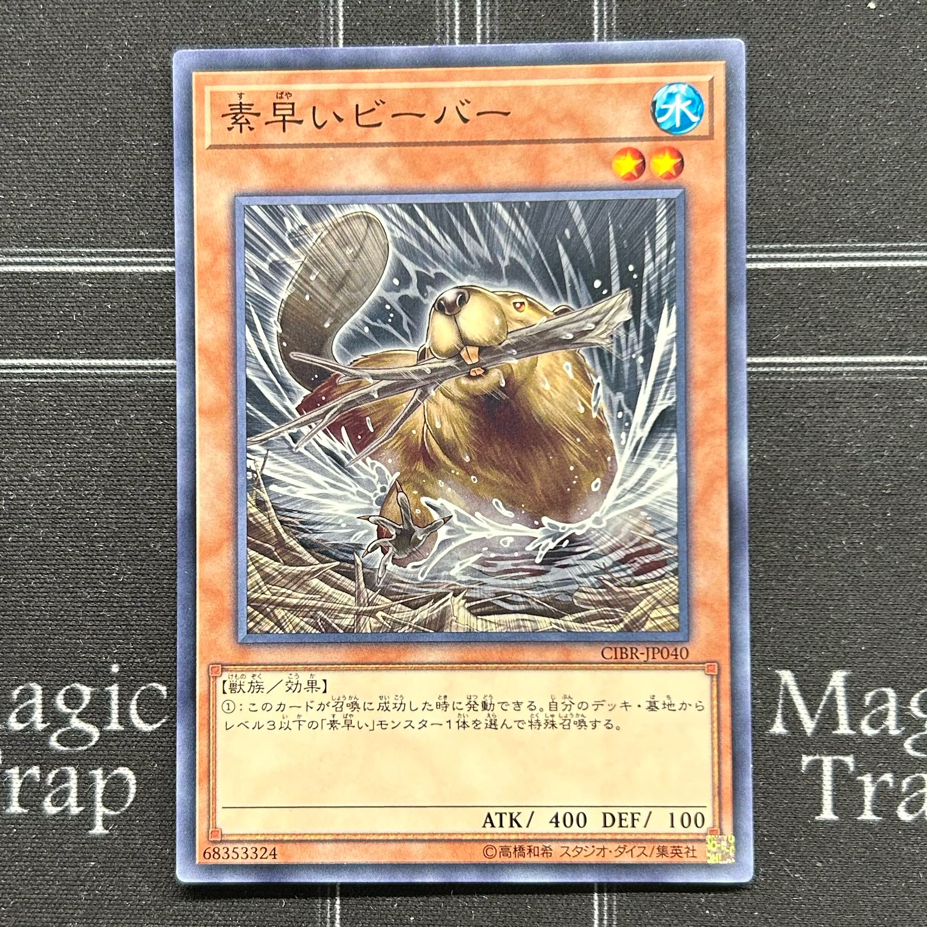 Yu-Gi-Oh OCG Nimble Beaver 3-card set CIBR-JP040 [37-1111-20M5].