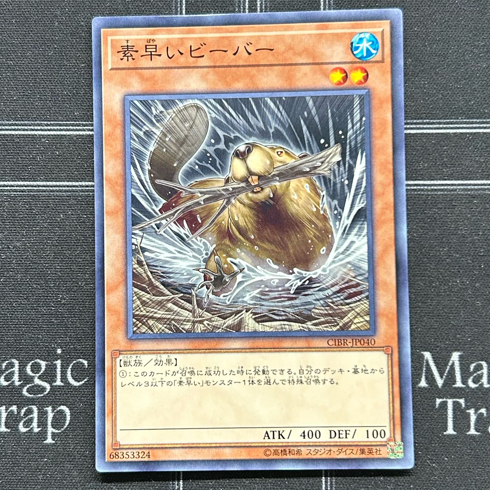 Yu-Gi-Oh OCG Nimble Beaver 3-card set CIBR-JP040 [37-1111-20M5].