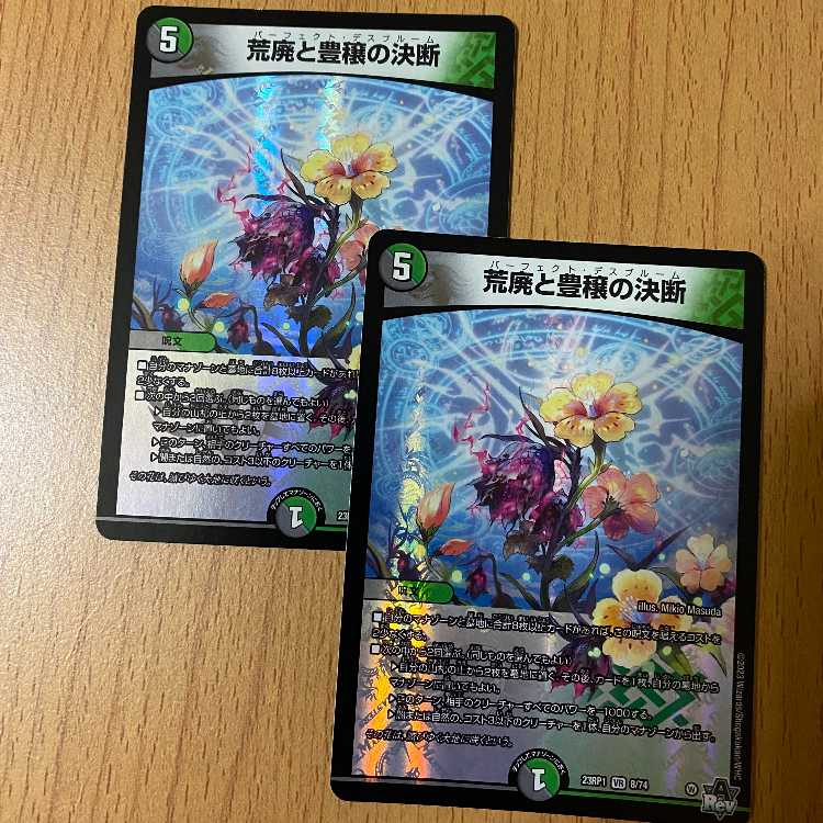 2 VR Blight and Abundance Decision Twin Dragon War Duel Masters