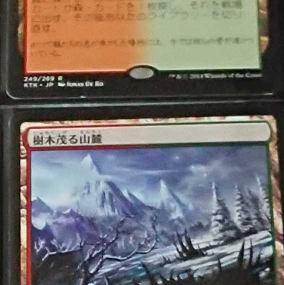 【MTG】樹木茂る山麓　4枚セット