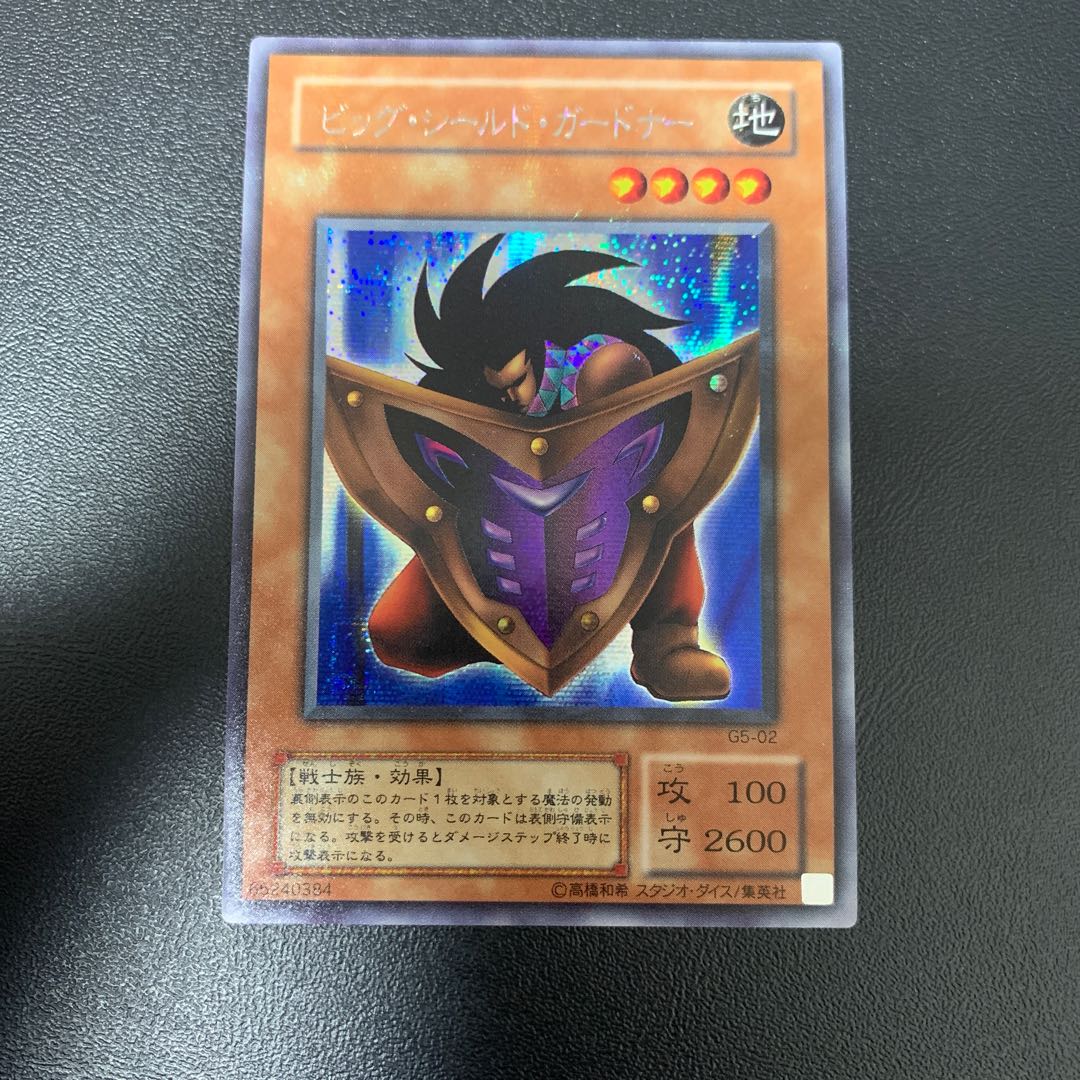 Big Shield Gardna Secret Rare 02