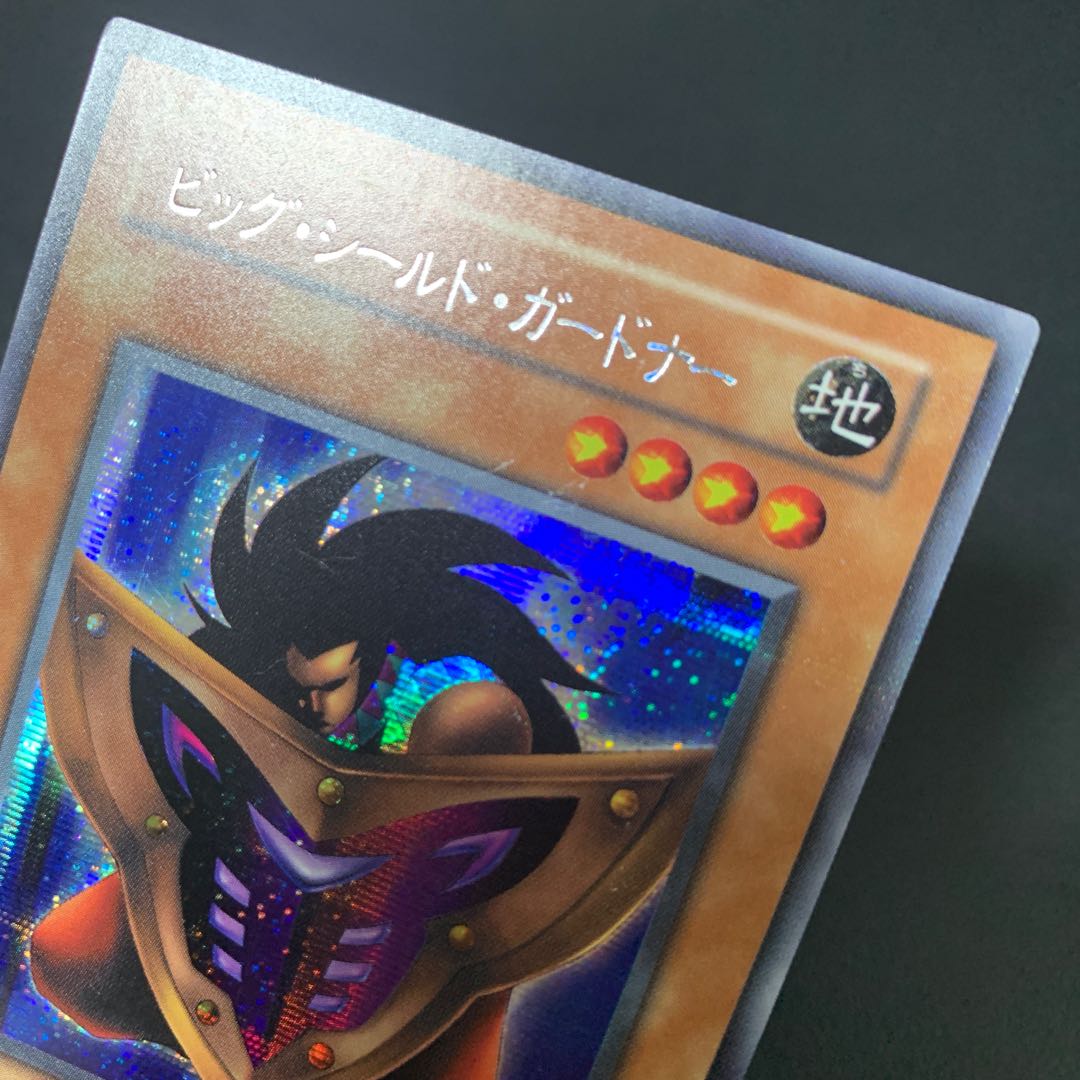 Big Shield Gardna Secret Rare 02