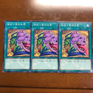 強欲で貪欲な壺 N 3枚