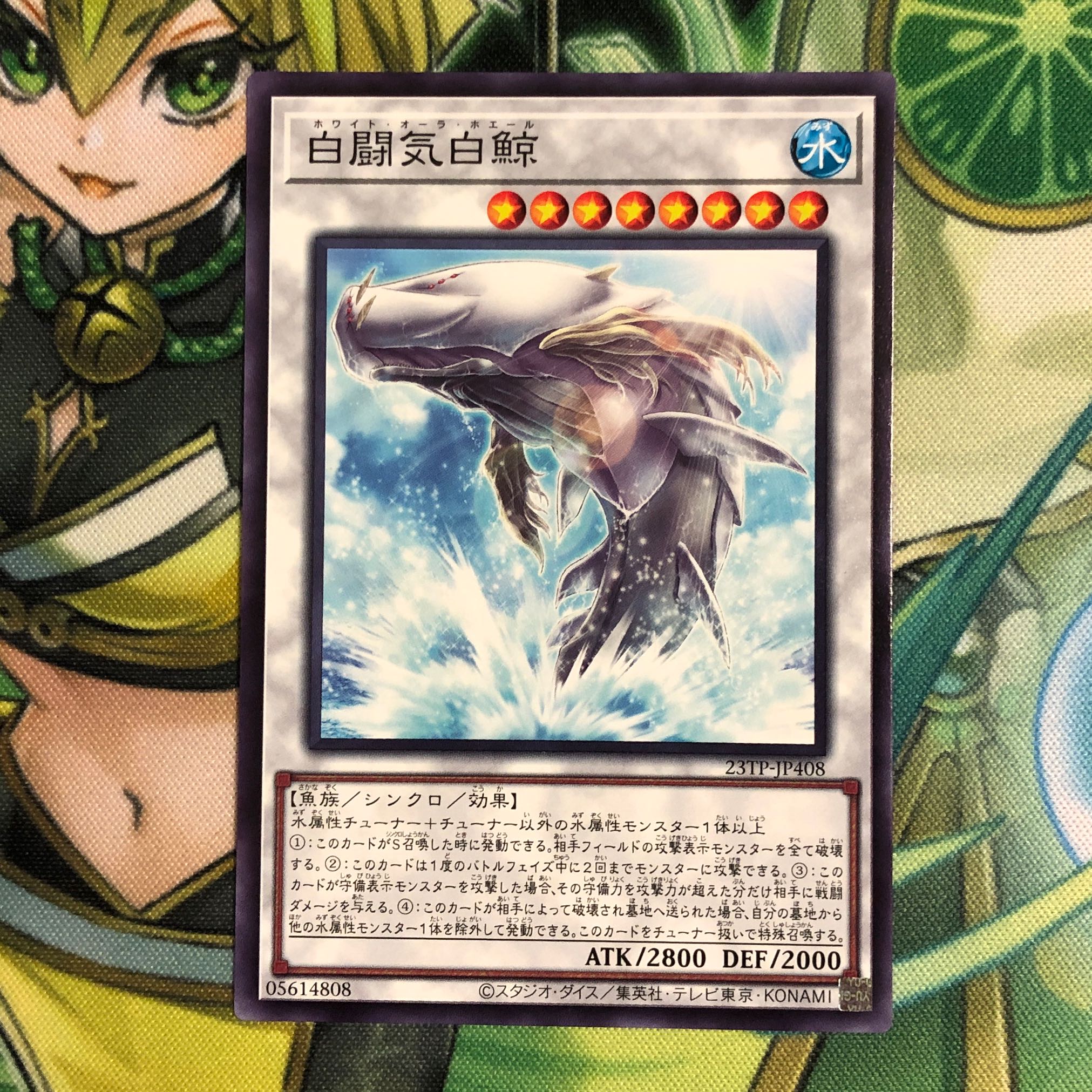 White Aura Whale Normal