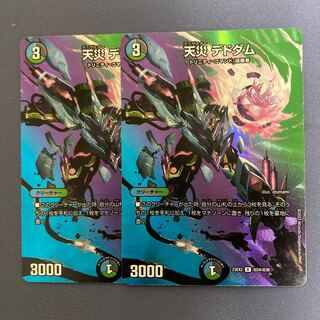 天災デドダム R-foil 超24/超38