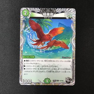 Birds of Paradise (Black Treasure) R T12/T20