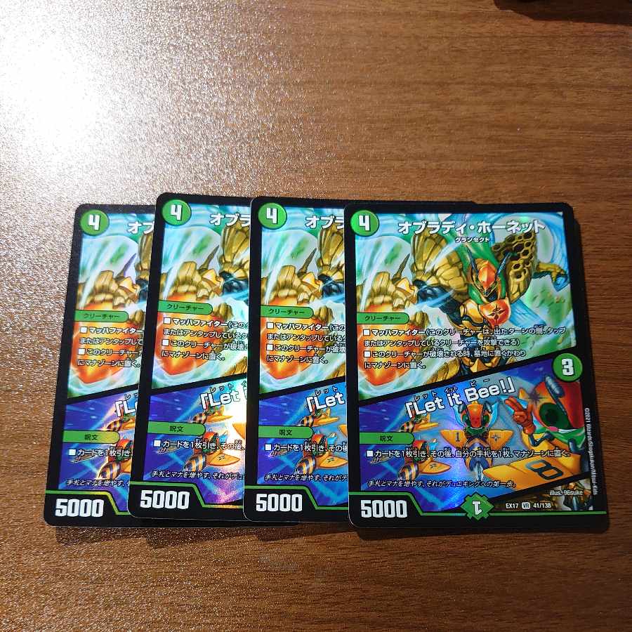 Obrady Hornet｜"Ler it Bee!" VR 41/138