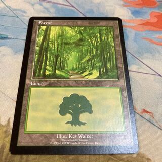 EURO 森　基本土地 mtg 1枚